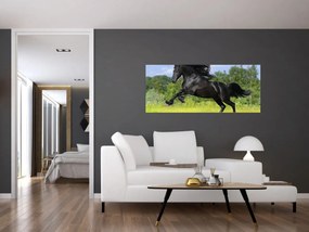 Obraz - Kôň s vzdušnou hrivou (120x50 cm)