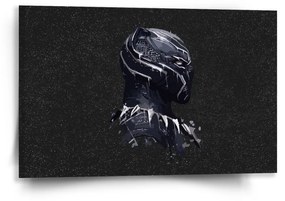 Sablio Obraz BLACK PANTHER z profilu Vesmír - 60x40 cm