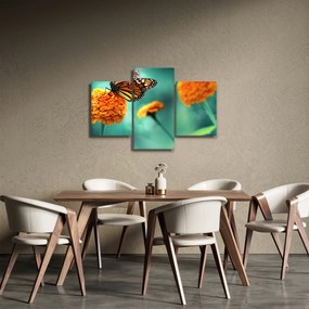 Obraz motýľa (90x60 cm)