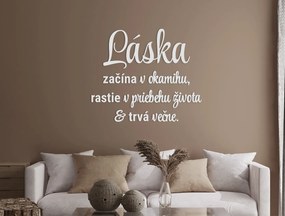 drevko Citát na stenu Láska začína v okamihu Rozmer obrazu: 51 x 60 cm, Farba dekorácie: Čierna