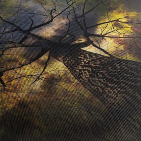 Obraz - Záhadné nebo (70x50 cm)