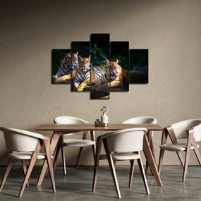 Obraz - Tigrii bratia (150x105 cm)