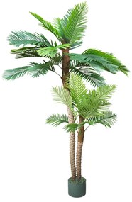 Palm Arenga 250cm