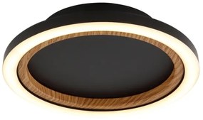 Globo 67356D - LED Stropné svietidlo DAKARI I LED/12W/230V 3000K pr. 20,5 cm