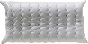 XXXLutz ŠIJOVÝ VANKÚŠ 40/80 cm Billerbeck - Online Only spálne - 003279054901