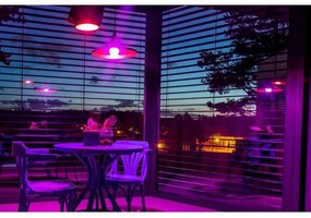 Immax NEO 07712C- SADA 3x LED RGB+CCT Stm. žiarovka NEO LITE Wi-Fi E27/9W/230V