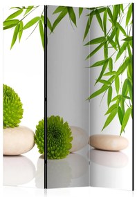 Artgeist Paraván - Green Relax [Room Dividers]