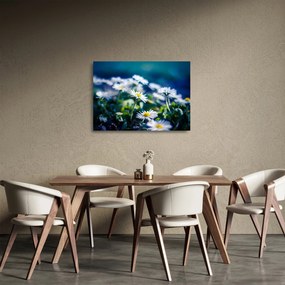 Sklenený obraz sedmokrások (70x50 cm)