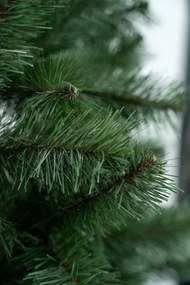 Limpol Jedľa Super Lux 2,20 m