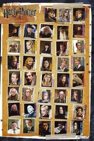 Plagát, Obraz - HARRY POTTER 7 - characters, (61 x 91.5 cm)