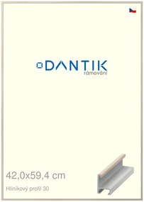 DANTIK rám na obraz 42x59,4 | ALU Dýha slovnová kost (Plexi Čiré)