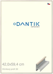 DANTIK rám na obraz 42x59,4 | ALU Dýha slovnová kost (Plexi Čiré)