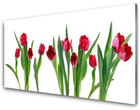 Sklenený obklad Do kuchyne Tulipány kvety rastlina 120x60 cm