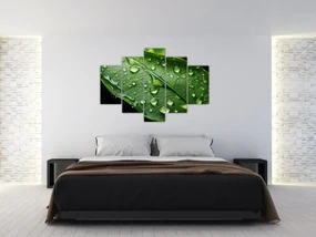 Obraz - List po daždi (150x105 cm)