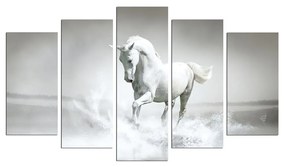 Viacdielny obraz White Horse 110x60 cm