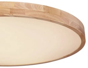 Globo 41745-60 - LED Stmievateľné stropné svietidlo RAINER LED/60W/230V + DO