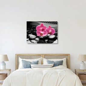 Sklenený obraz - Ružové orchidey (70x50 cm)