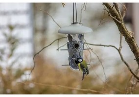Plastia Kŕmidlo pre vtáky Robin, antracit