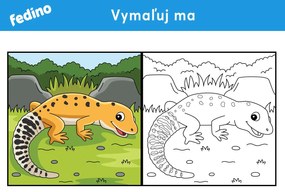 Omaľovánky – balík 3(20ks) – platený