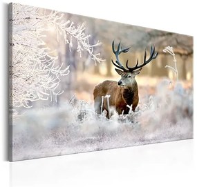 Obraz - Deer in the Cold Veľkosť: 120x80, Verzia: Na talianskom plátne