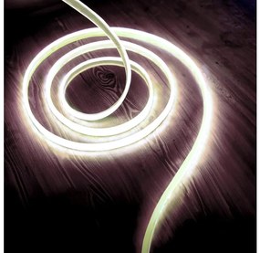 LED Pásik LED/50W/12V 5 m 6500K