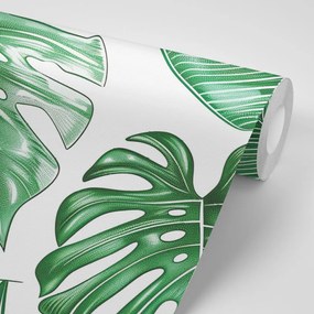 Samolepiaca tapeta moderné zelené listy