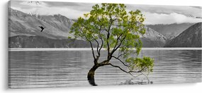 Obraz stromu uprostred jazera (120x50 cm)