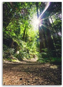 Obraz na plátně Džungle Les Příroda Zelená - 80x120 cm
