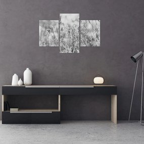Obraz - Chladná zima (90x60 cm)