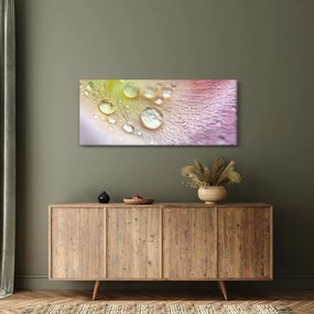 Obraz - Kvapky rosy (120x50 cm)