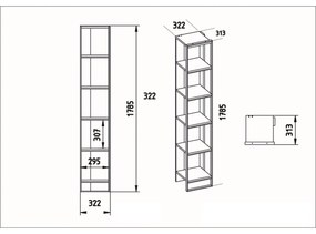 Knižnica Polka Black and Gold