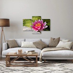 Obraz - Lekno (90x60 cm)