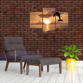 Obraz - Delfín pri západe slnka (90x60 cm)