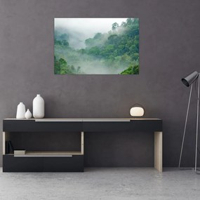 Obraz - Ranná hmla (90x60 cm)