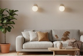 Nástenné svietidlo Florence 1, 1x biele sklenené tienidlo, be/g