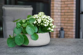 Dekoračná miska PERA, sklolaminát, Ø 27 cm, béžová