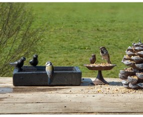 Čierne keramické napájadlo pre vtákov Esschert Design Eve