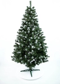 Limpol Jedľa Beata 2,40 m