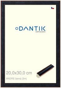 DANTIK rám na obraz 20x30 | ANDRE černá (Sklo Čiré)