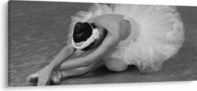 Obraz - Baletka, čiernobiela (120x50 cm)