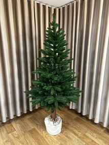 Jedľa Karpatská na pni 220cm