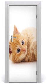Samolepiace fototapety na dvere Malá červená mačka 75x205 cm