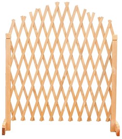 Nastaviteľná drevená mriežka na popínavé rastliny, 2 ks