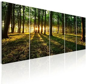 Obraz - Shade of Trees I Veľkosť: 200x80, Verzia: Premium Print