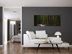 Obraz - Medzi bambusy (120x50 cm)