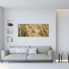 Obraz - Obilie (120x50 cm)