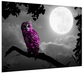 Obraz nočnej sovy (70x50 cm)