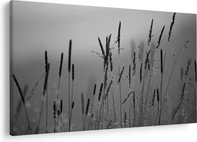 Obraz - Steblá trávy (90x60 cm)