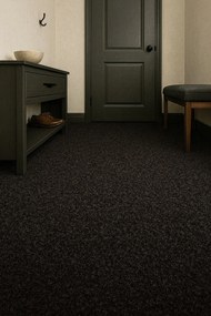 Rinos bv, Čistiaca zóna Robust 130 čierna, šíře 135 cm, šíře 1,35 m,2m, šedá, pvc, chodba / predsieň