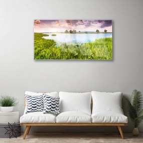 Obraz plexi Tráva jazero príroda 100x50 cm
